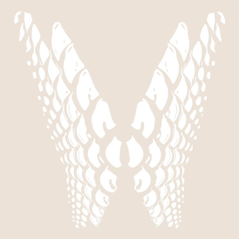 Points géométriques en forme d’aile