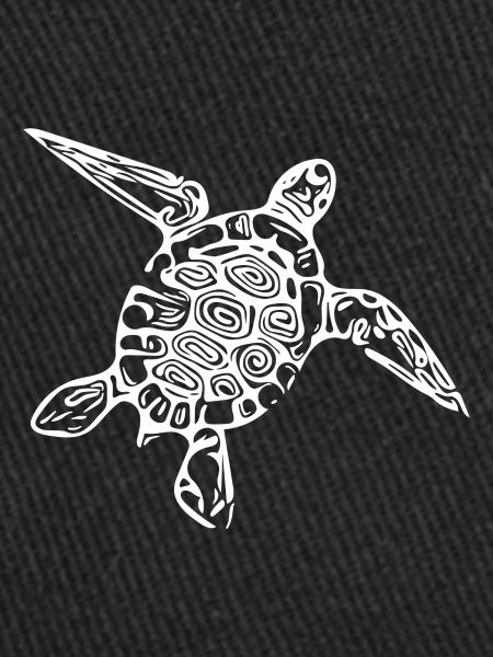 Little cute turtle