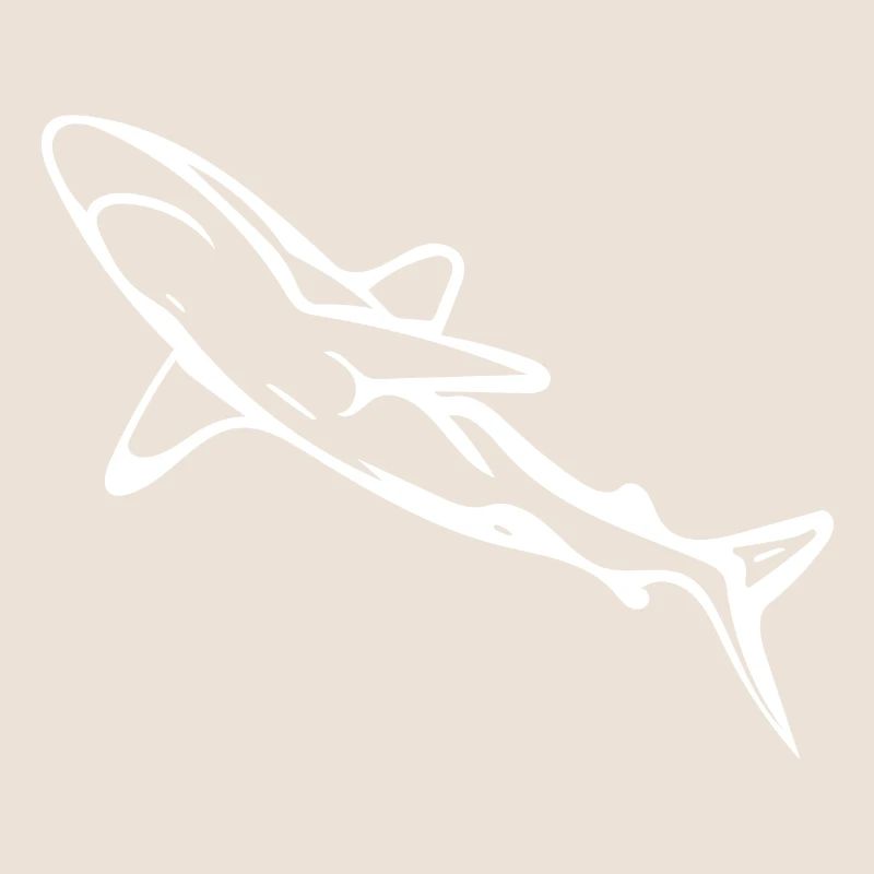 Élégant requin d’eau profonde