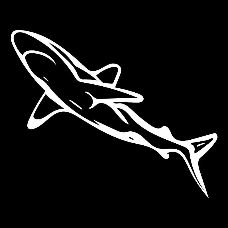 Élégant requin d’eau profonde
