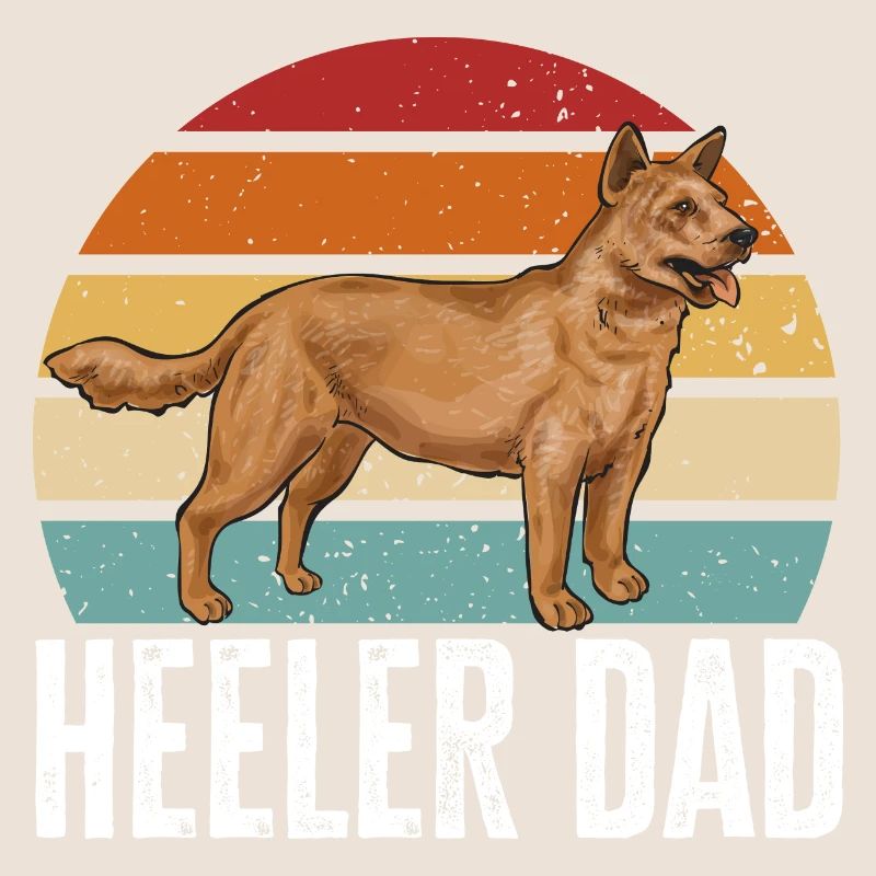 Bouvier australien Red Blue Heeler