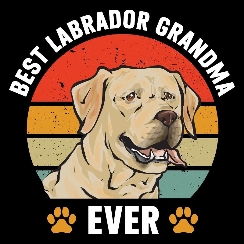 Labrador Retriever jaune