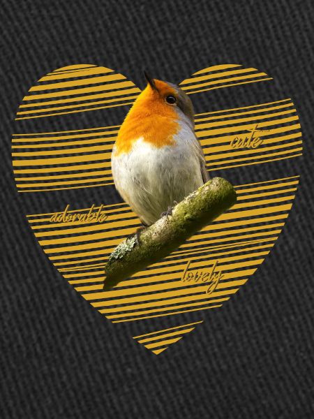 Robin Erithacus rubecula