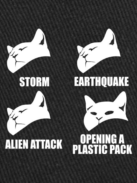 Cat - selective perception - saying