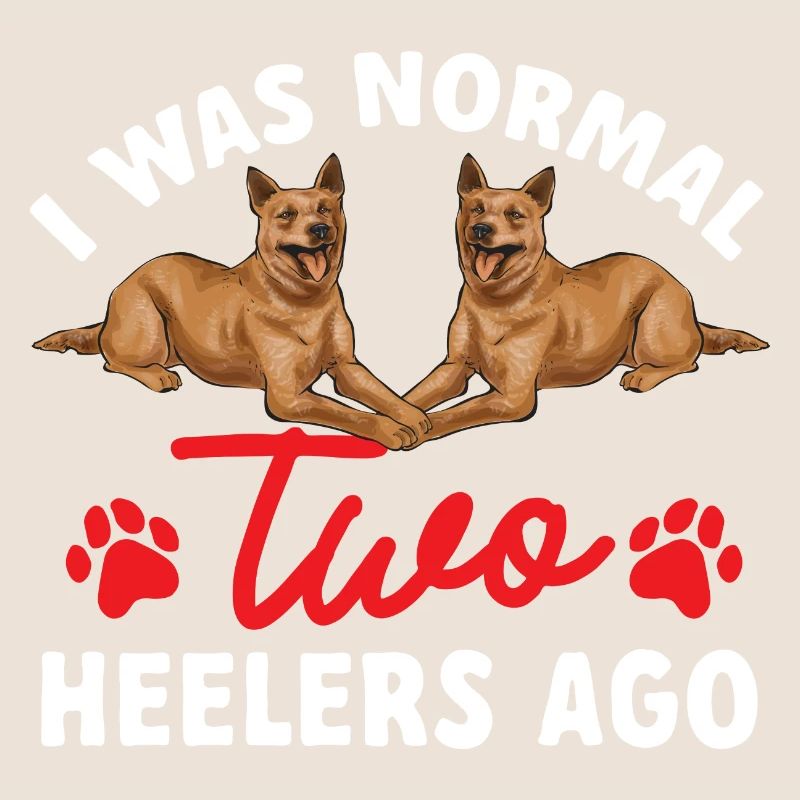 Bouvier australien Red Blue Heeler