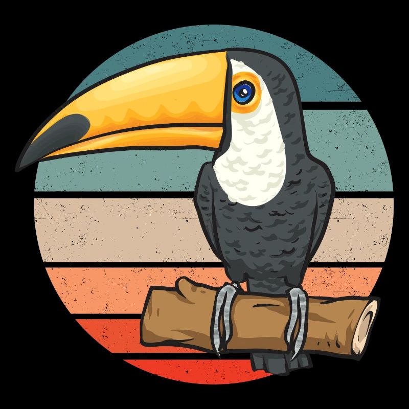 Toucan Bird Rainforest