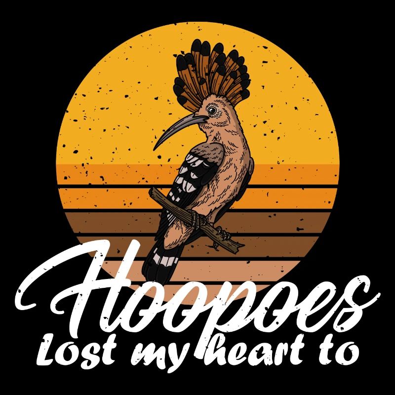 Forest bird watching hoopoe ornithologist