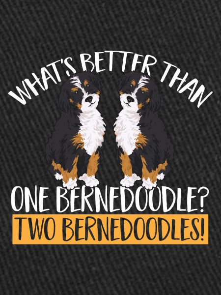 Bernedoodle Dog