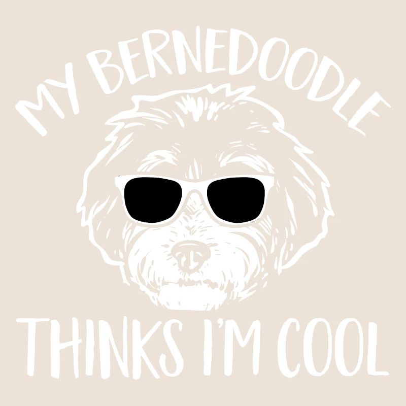Bernedoodle Hund