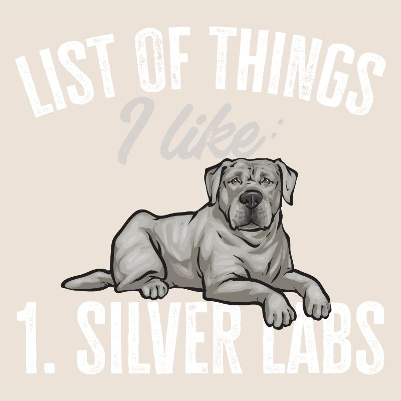 Silver Labrador Retriever Silver Lab