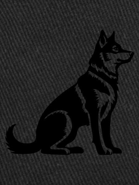 Chien husky