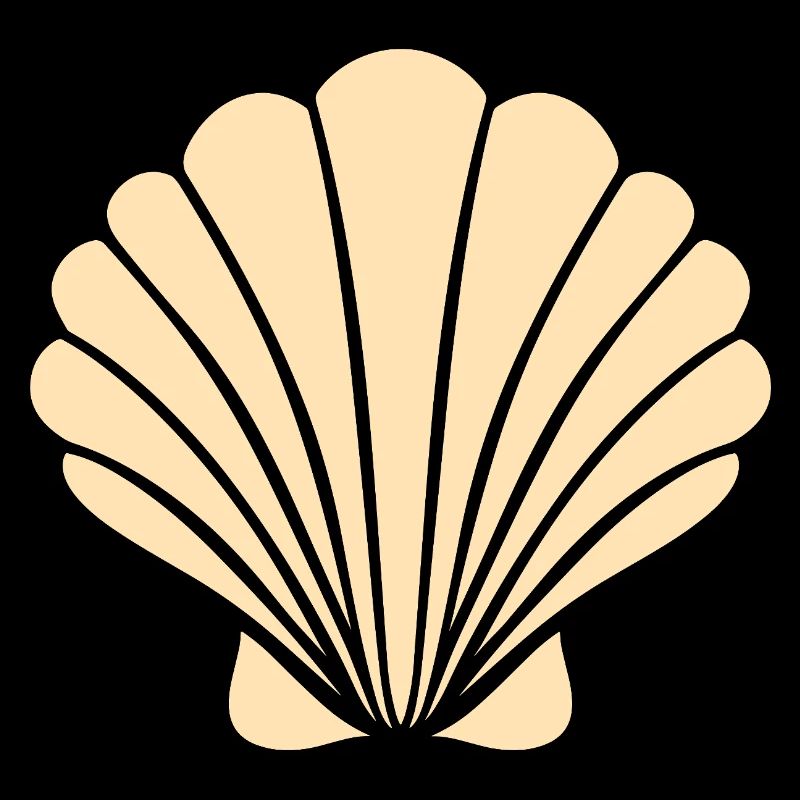 coquillage