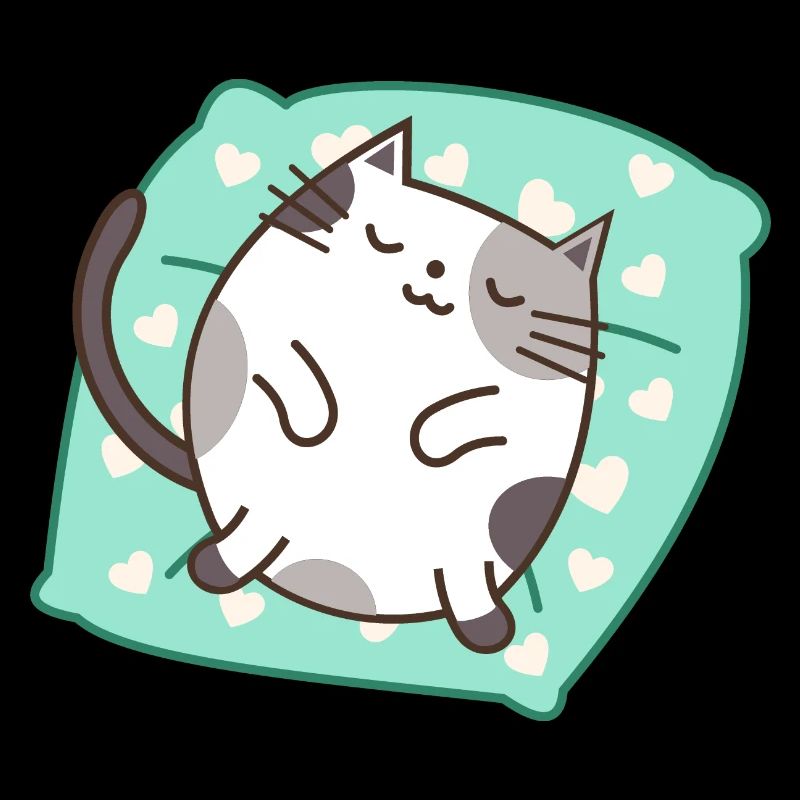 chat endormi
