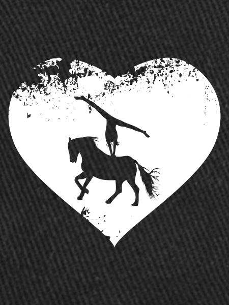 Chevaux Cheval Voltigeur Voltigieren Volti
