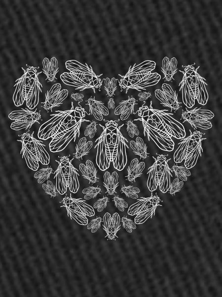 Cicadas Heart
