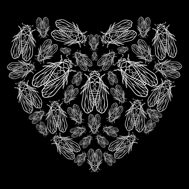 Cicadas Heart