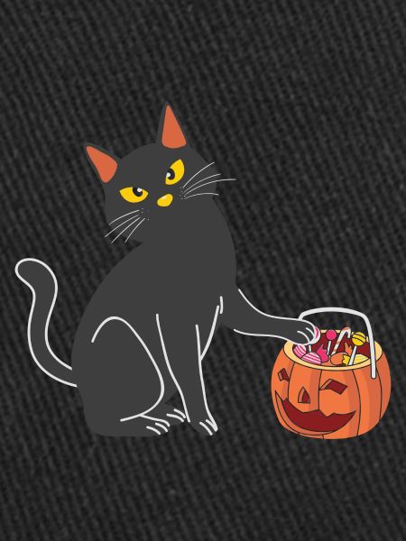 Sorcière chat d’Halloween