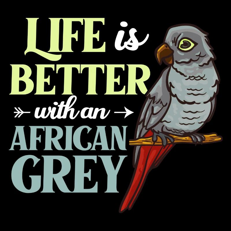 Afrikanischer Graupapagei Papagei Vogel Afrika