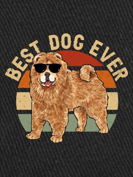 Chow Chow Dog