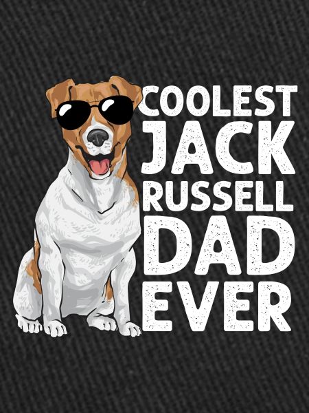 Jack Russell Terrier