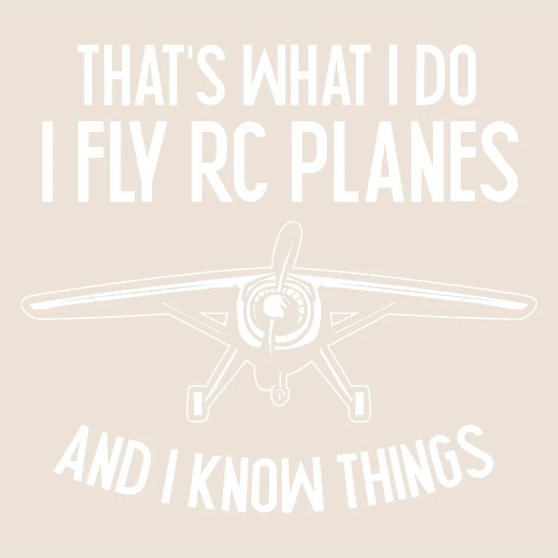 Modèle d’avion télécommandé