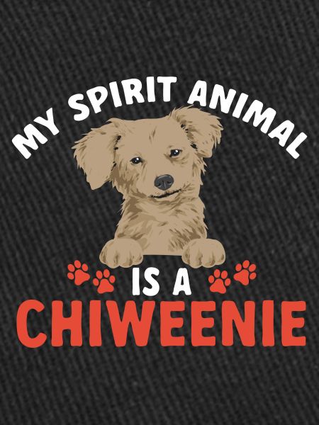 Chiweenie Chien