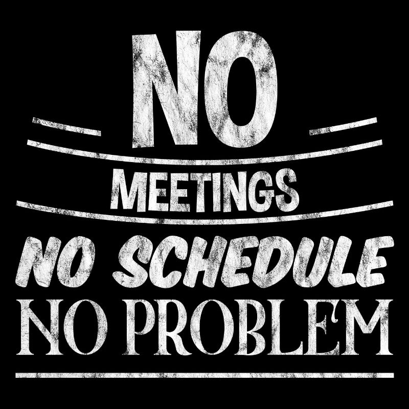 No Meetings No Schedule No Problem 3