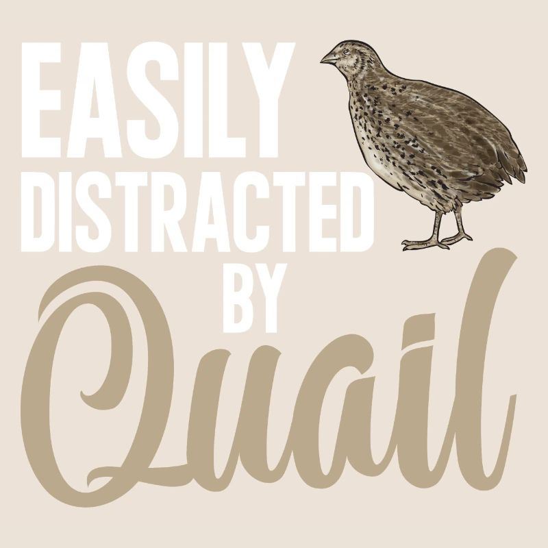 Oiseau de caille