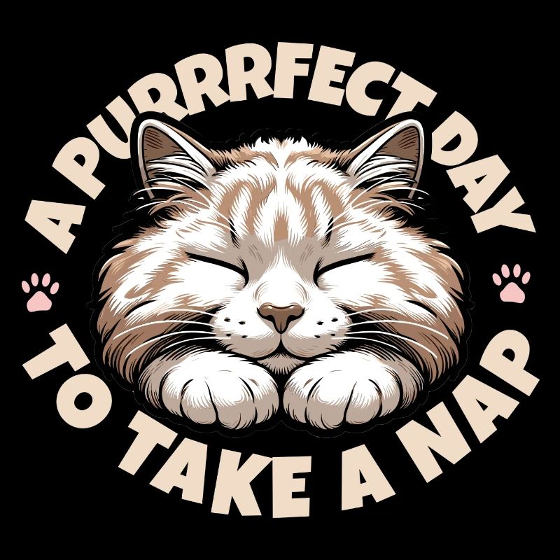 Drôle de cadeau d’amant de chat