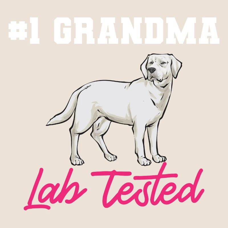 Labrador Retriever blanc Labrador Labrador blanc