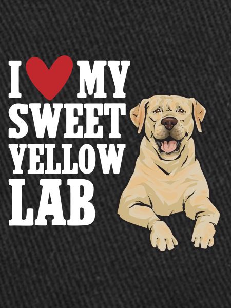 Labrador Retriever jaune