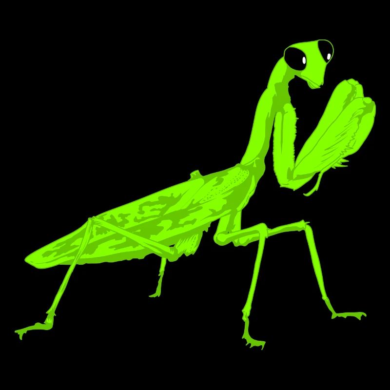 Gottesanbeterin Mantis Religiosa Instekt