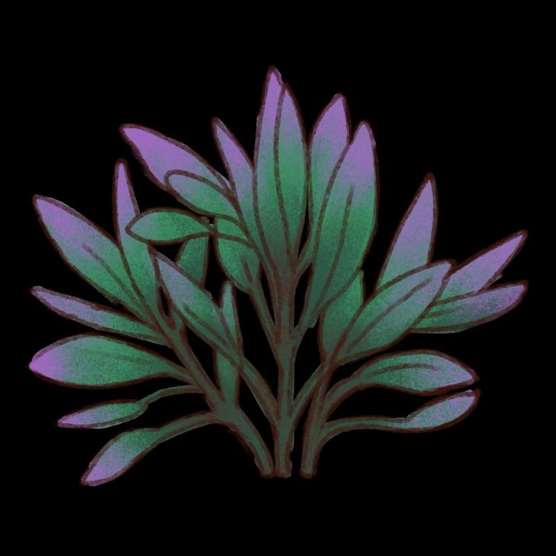 Plante feuillue 3