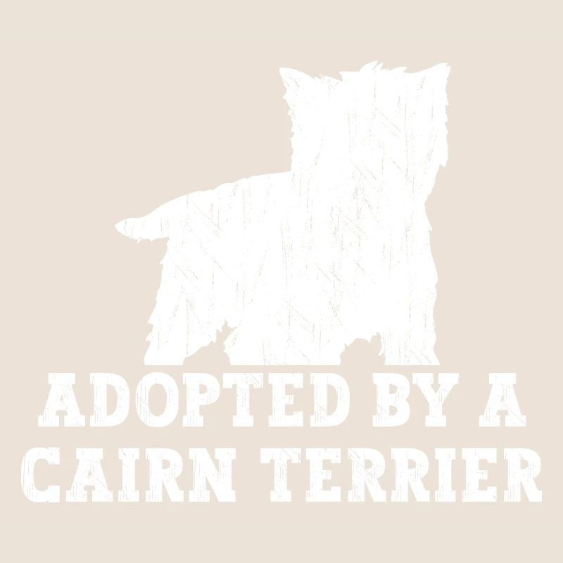 Cairn Terrier Chien