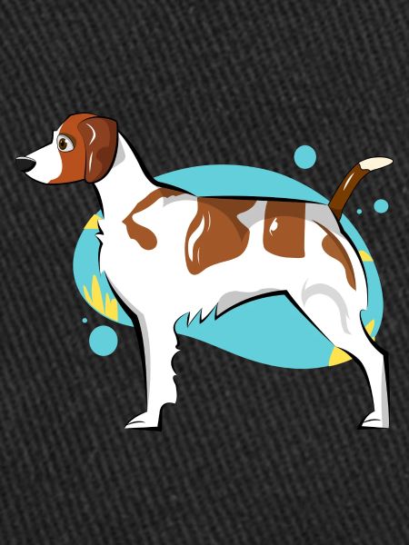 Brittany Dog