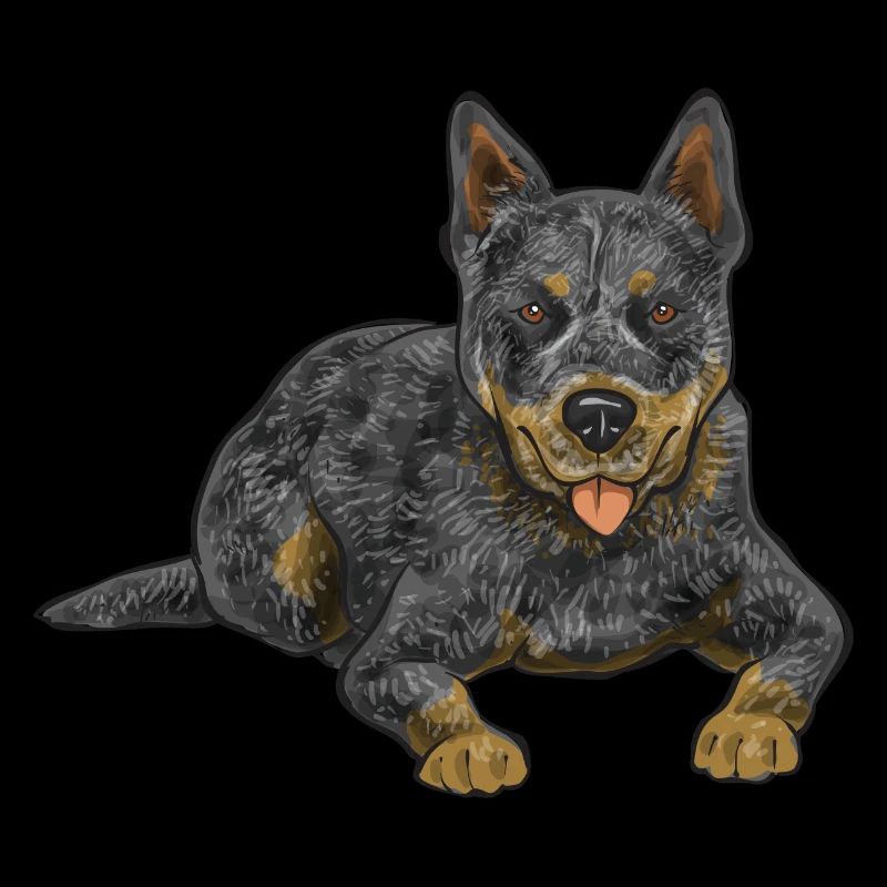 Bouvier australien Red Blue Heeler