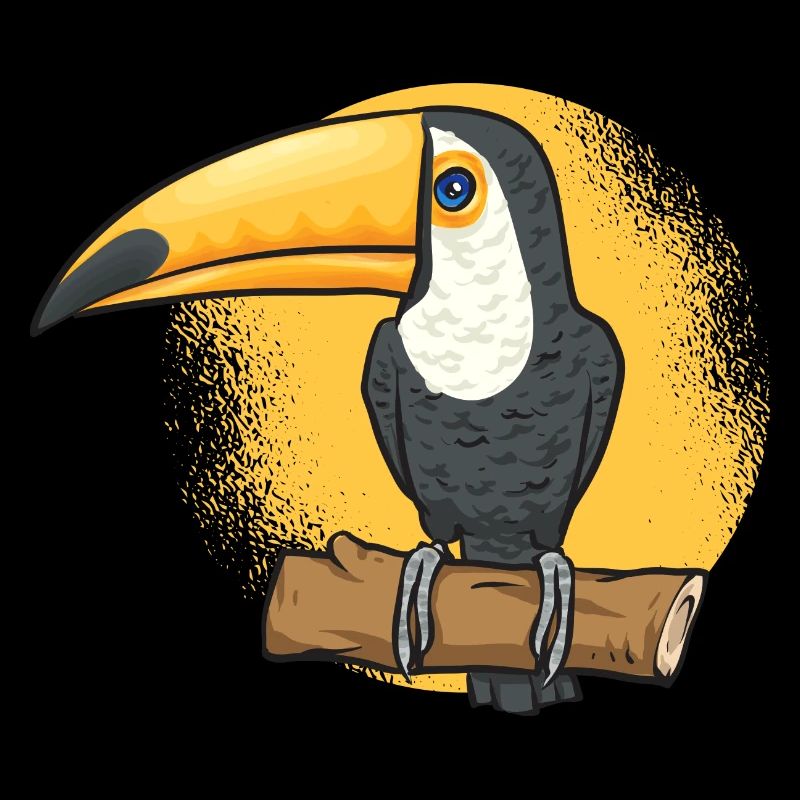 Toucan Bird Rainforest