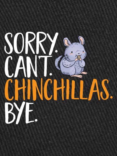 Chinchilla
