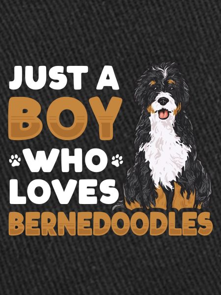 Chien Bernedoodle