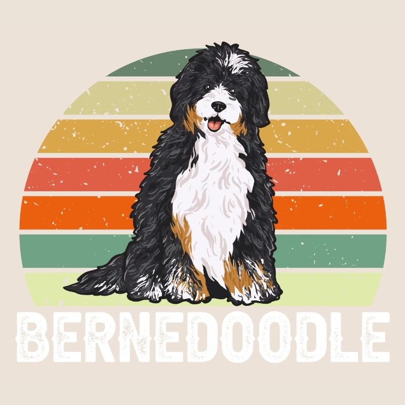 Bernedoodle Hund