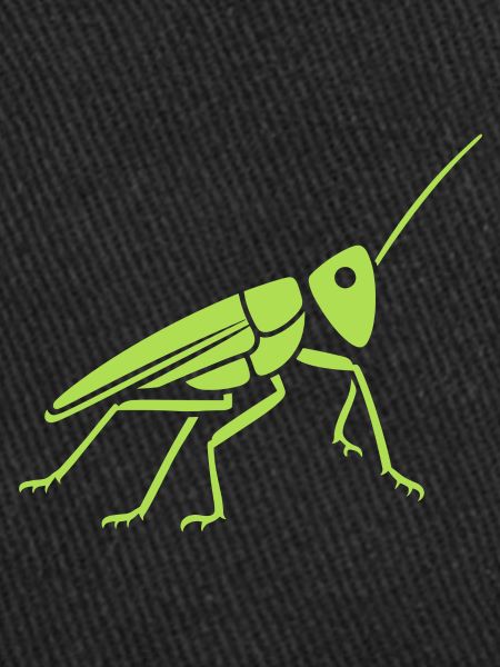 Grasshopper