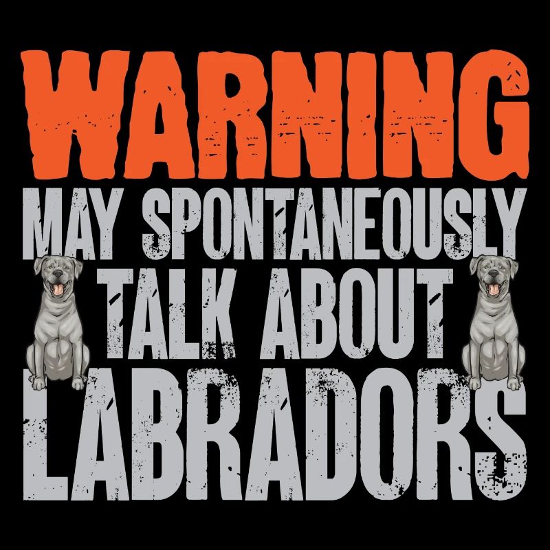 Silver Labrador Retriever Silver Lab