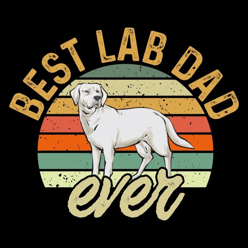 Labrador Retriever blanc Labrador Labrador blanc