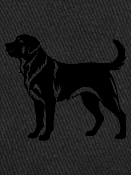Chien Kangal