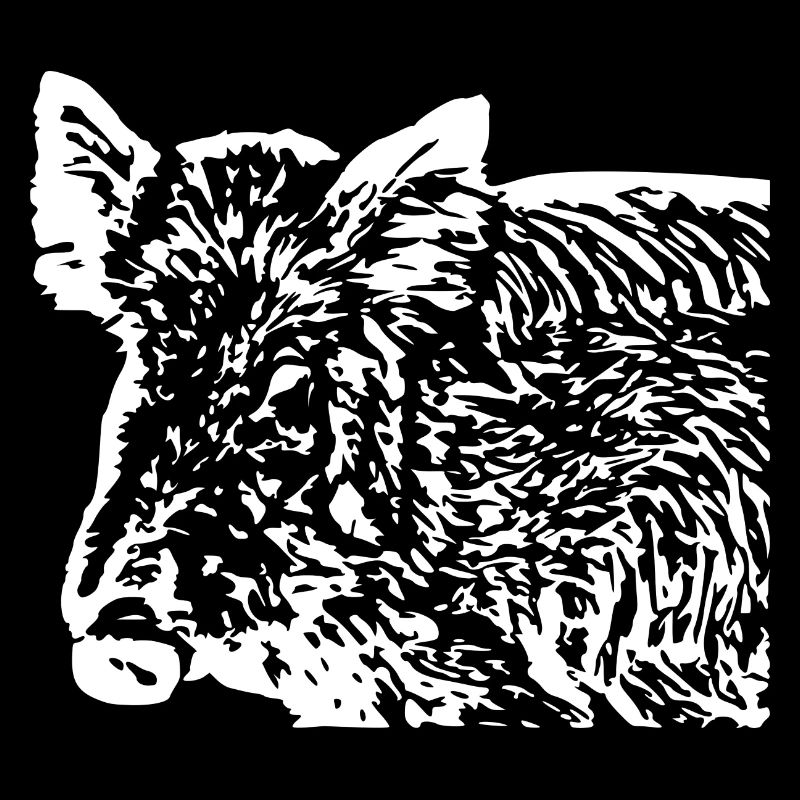 Wild boar Wild boar Pig Sow Pigs