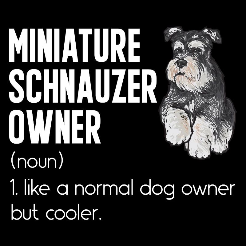 Zwergschnauzer Hund Schnauzer