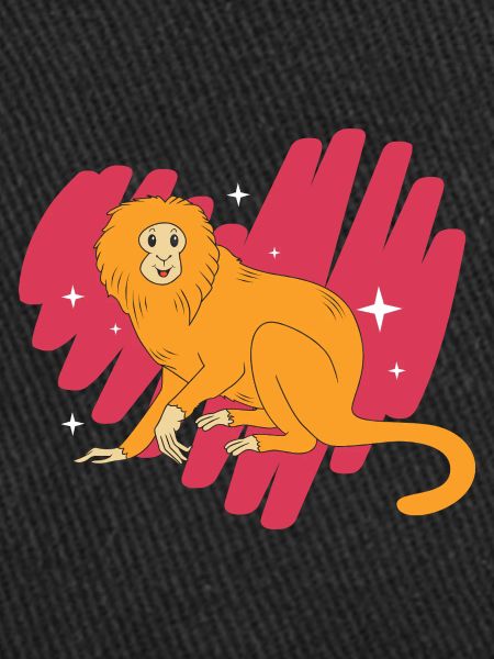 Singe Tamarin