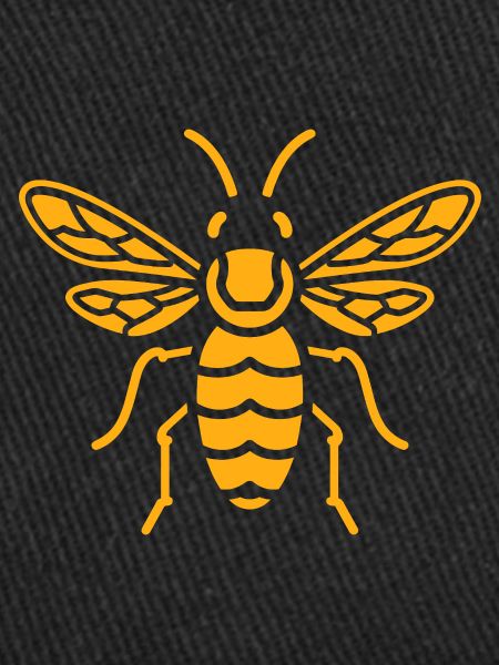 wasp