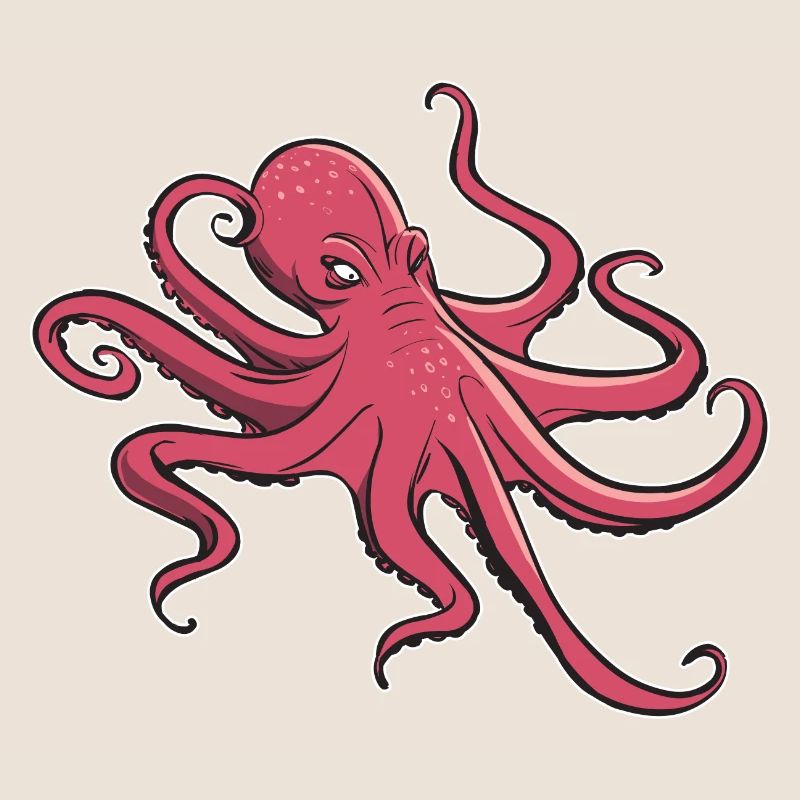 I like octopus - eight tentacles - squid