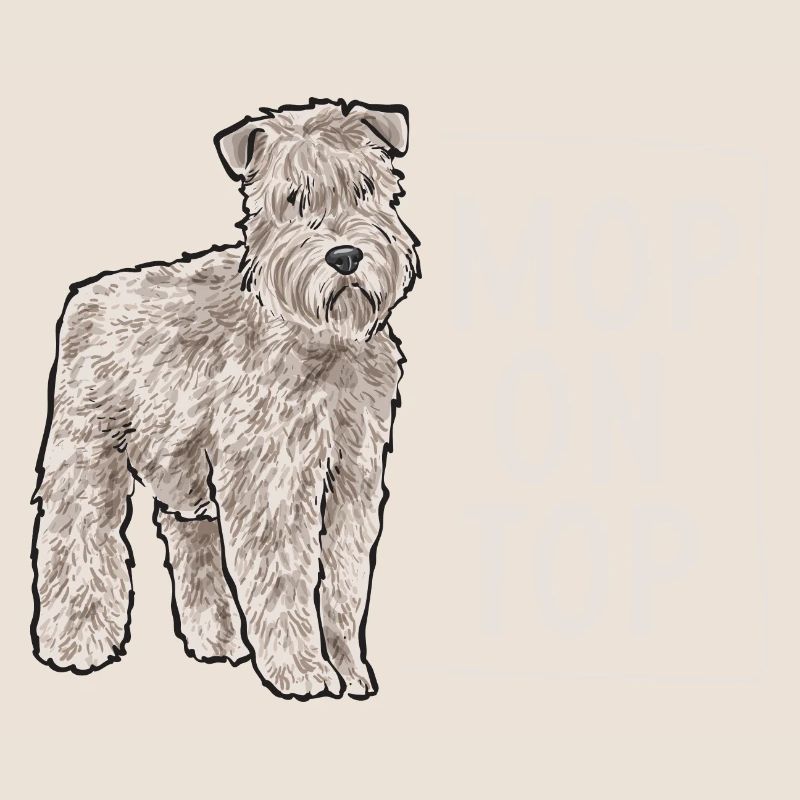 Terrier irlandais à enrobage doux